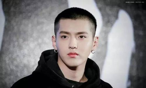 吃瓜娱乐圈大燕子,大燕子吃瓜记